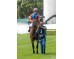  Carrera: P.Velayos Monta: R.Sousa Caballo: Cheaper